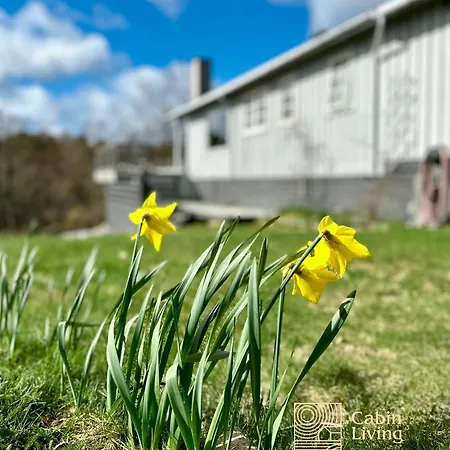 Idyllic In Fantastic Ocean View
