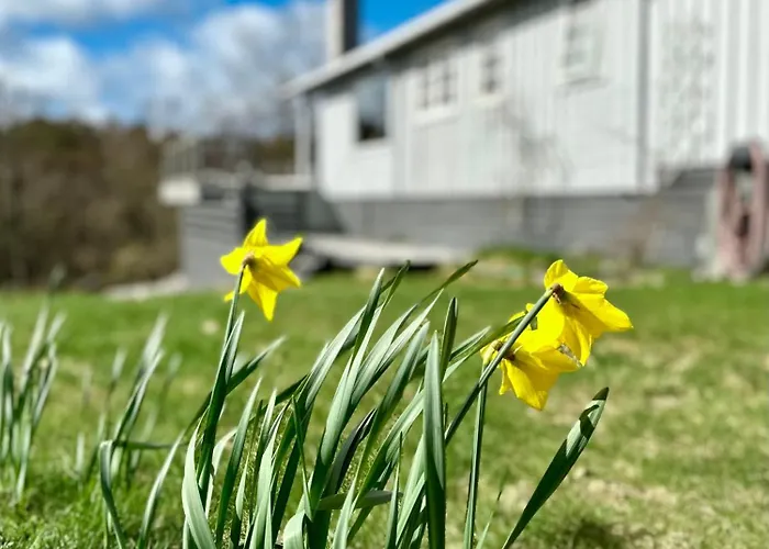 Idyllic In Fantastic Ocean View